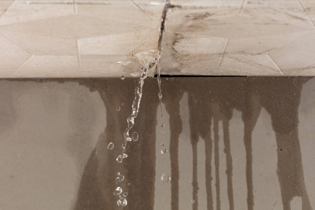 Professional Water Damage Repair technician working in Kingston, NJ